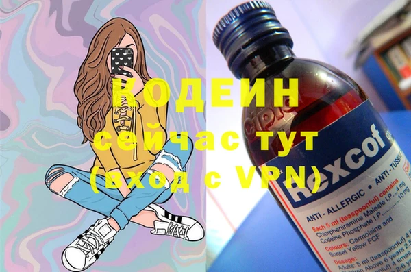 дживик Карпинск