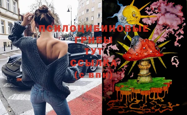 марки lsd Касимов