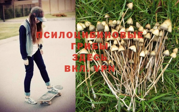 эйфоретик Киренск