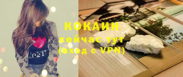 дживик Карпинск