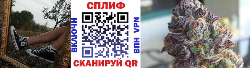 ссылка на мегу tor  shop клад  Салаир  Бошки марихуана сатива  купить  